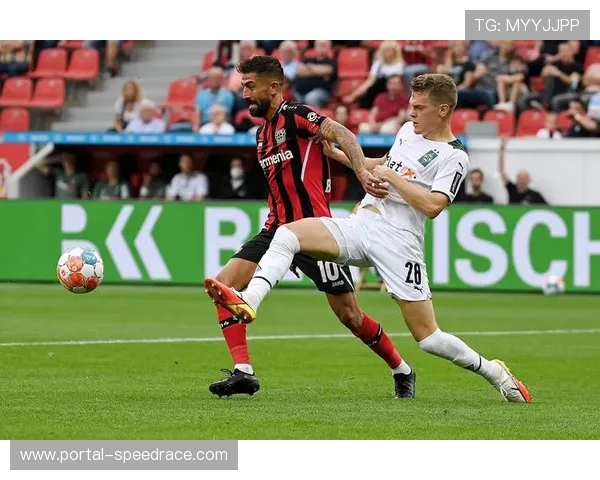 德甲欧战资格争夺：霍芬海姆36分稳居第三